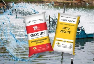 Zeolite-thuy-san