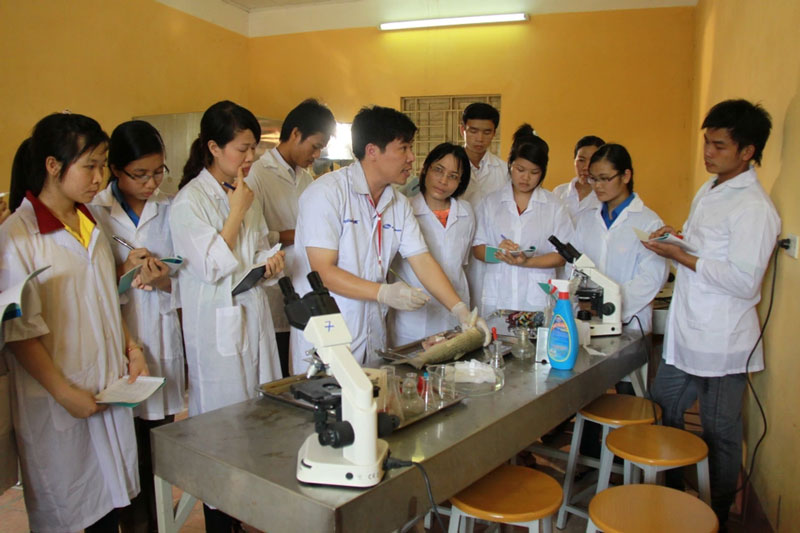 Ngành Bệnh học thủy sản là gì? 6 nganh-benh-thuy-sa