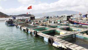 thực trạng ngành thủy sản việt nam hiện nay