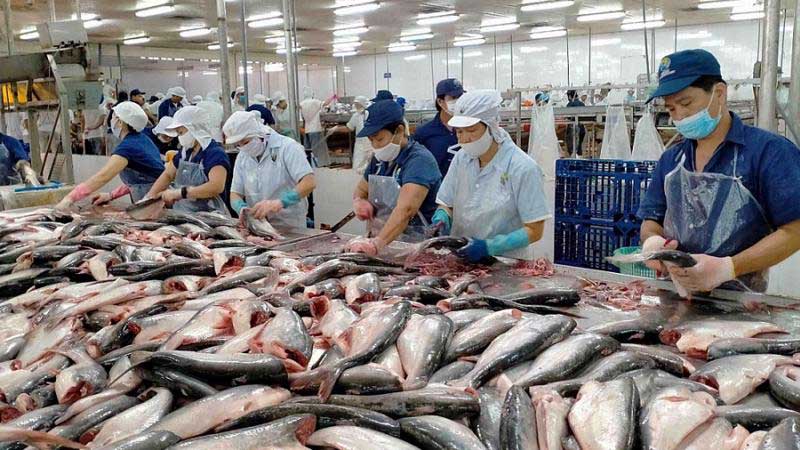 Thực trạng ngành thủy sản Việt Nam hiện nay 4 thủy sản việt nam