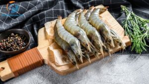 các loại tôm nước ngọt