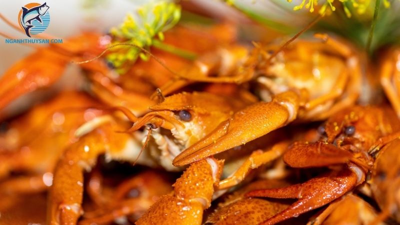 Cách ăn tôm hùm đất với 3 món ăn crawfish chuẩn bị nhà hàng 4 cách ăn tôm hùm đất