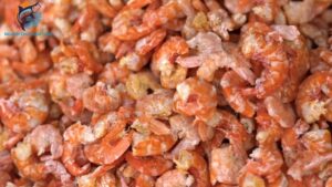 giá tôm khô