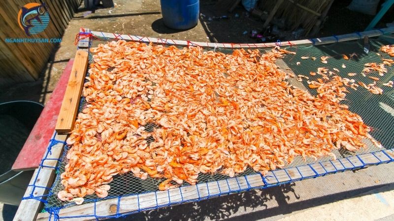 Hướng dẫn cách làm tôm khô 1 nắng ngon, dễ thực hiện 4 tôm khô 1 nắng