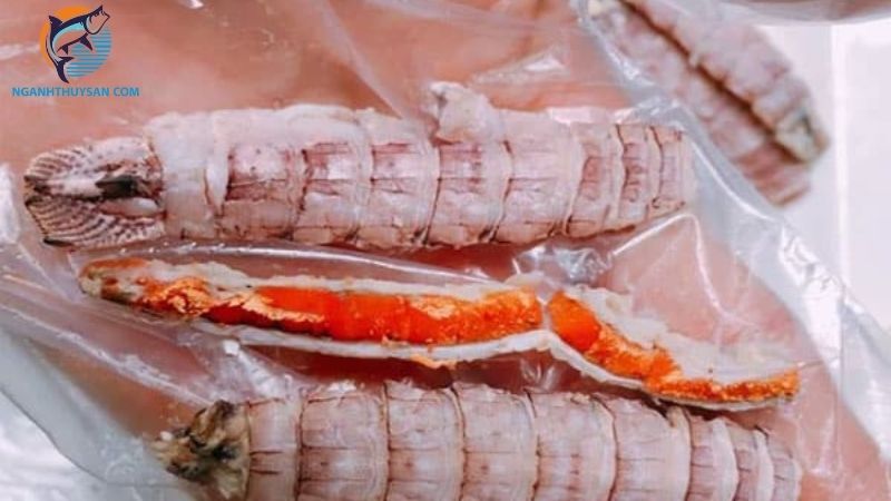 Tôm tích gạch là gì? Giá tôm tích gạch cập nhật mới nhất hiện nay 6 tôm tích gạch