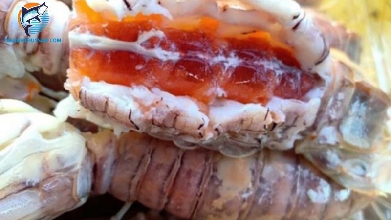 Tôm tích gạch là gì? Giá tôm tích gạch cập nhật mới nhất hiện nay 5 tôm tích gạch