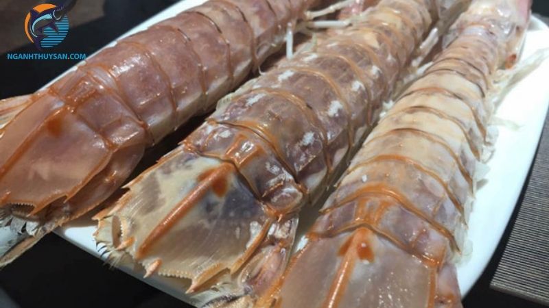 Đặc điểm và cập nhật giá tôm tích khổng lồ size lớn trên thị trường 4 tôm tích khổng lồ