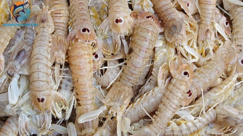 Tôm tích loại 1 là gì? Cập nhật chi tiết giá tôm tích loại 1 hôm nay 6 tôm tích loại 1