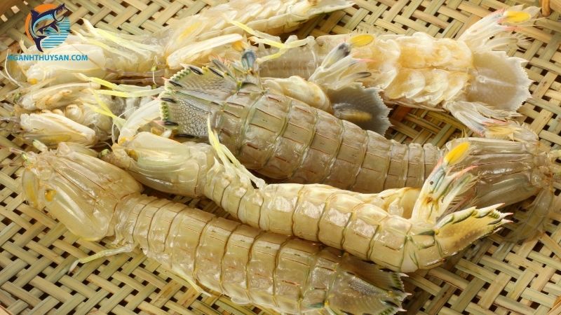 Tôm tích loại 1 là gì? Cập nhật chi tiết giá tôm tích loại 1 hôm nay 5 tôm tích loại 1