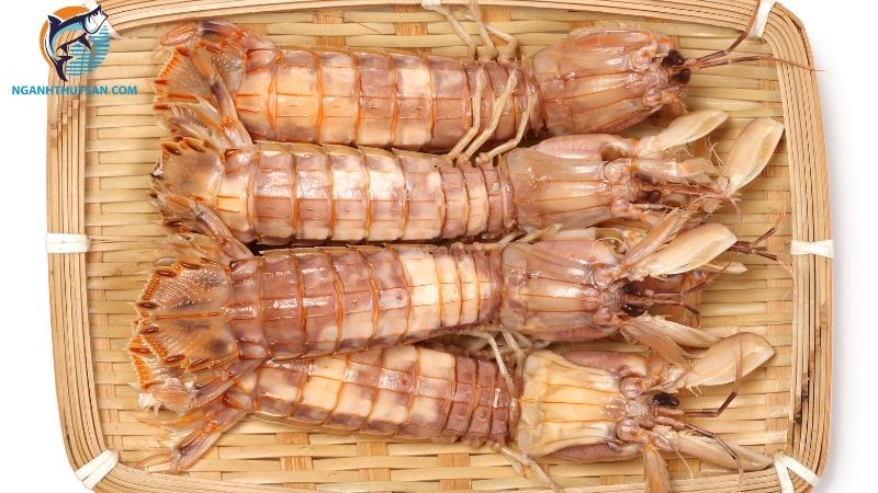 Nguồn gốc, đặc điểm của tôm tích nước ngọt (tôm tích sông) 5 tôm tích nước ngọt