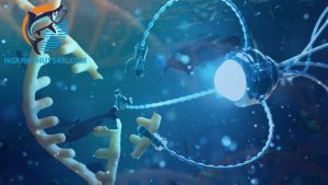 công nghệ nano bạc trong nuôi trồng thủy sản