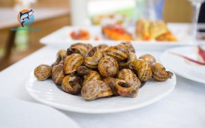 ăn ốc hương có tác dụng gì