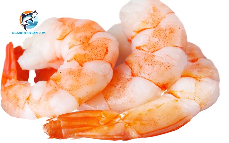 Có bầu 3 tháng đầu ăn tôm được không? 5 bầu 3 tháng đầu ăn tôm được không
