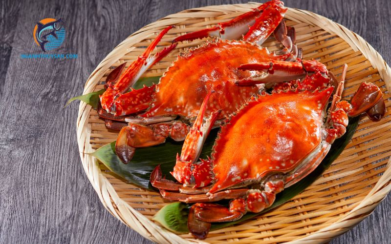 Phân biệt cua gạch, cua thịt và cách chọn cua ngon 4 cách chọn cua ngon