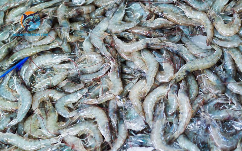 Hướng dẫn cách chọn tôm tươi cho chị em đi chợ 4 cách chọn tôm tươi