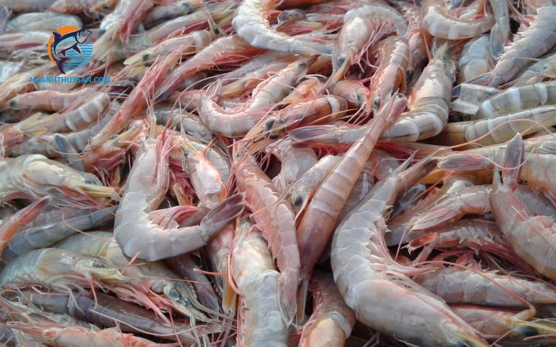 Hướng dẫn cách chọn tôm tươi cho chị em đi chợ 5 cách chọn tôm tươi