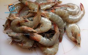 cách chọn tôm tươi