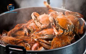 hấp cua bao nhiêu phút