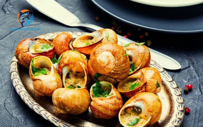 Ốc hương luộc bao lâu thì chín? Cách làm sạch ốc hương nhanh 6 ốc hương luộc bao lâu